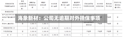 海象新材:公司无逾期对外担保事项
