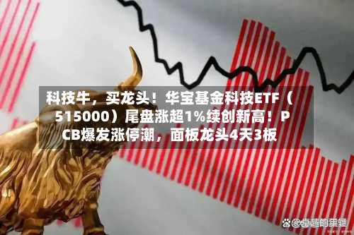 科技牛,买龙头!华宝基金科技ETF(515000)尾盘涨超1%续创新高!PCB爆发涨停潮,面板龙头4天3板