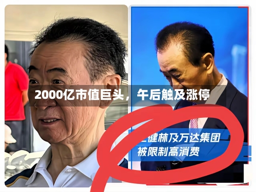 2000亿市值巨头,午后触及涨停