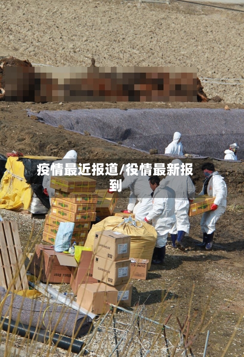 疫情最近报道/役情最新报到-第1张图片